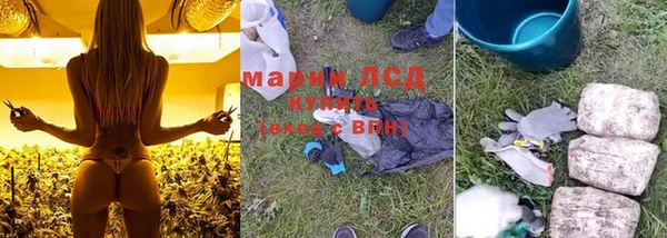 прущие грибы Бугульма