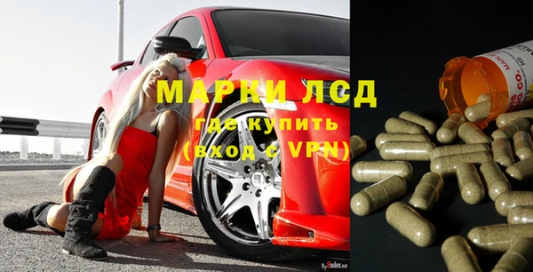 прущие грибы Бугульма