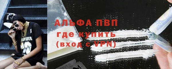 прущие грибы Бугульма
