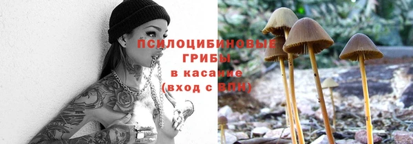 мдма Бородино